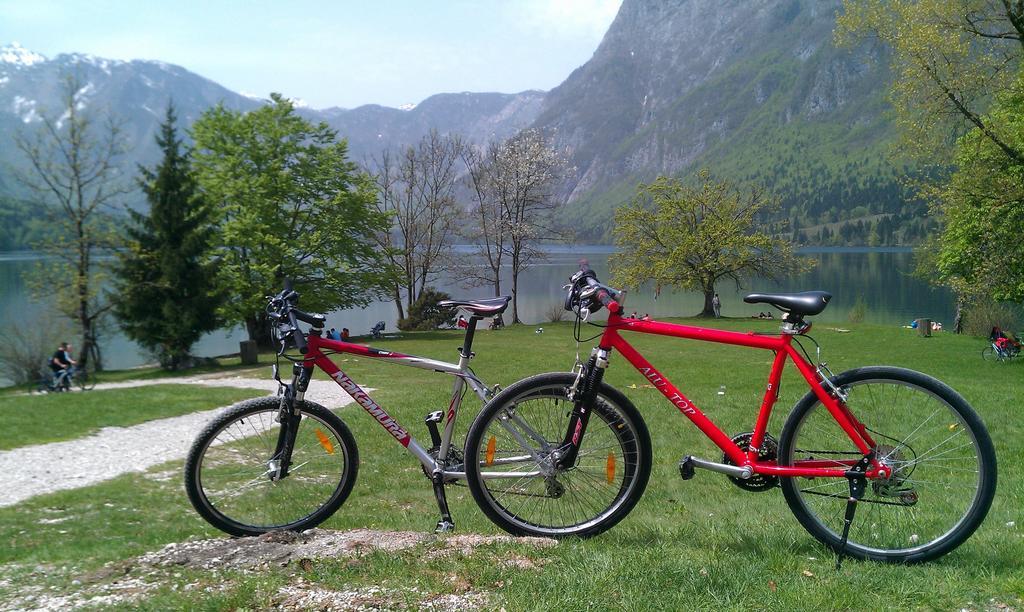 Apartment Bohinjko Værelse billede