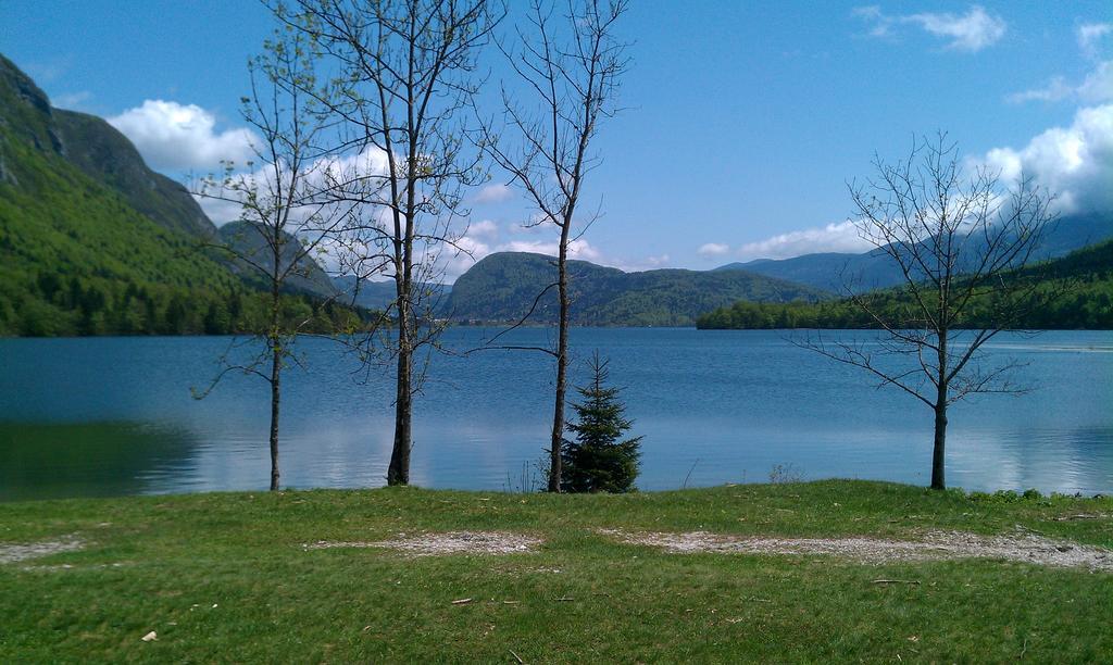 Apartment Bohinjko Eksteriør billede